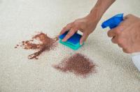 Fair Dinkum Carpet and Pest - Pest Control Buderim image 7